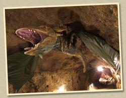 Sárkány Legenda: Pécsi Origami Kör kiállítása