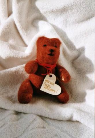 Barkó  Magdolna: Nemezelt kismackó