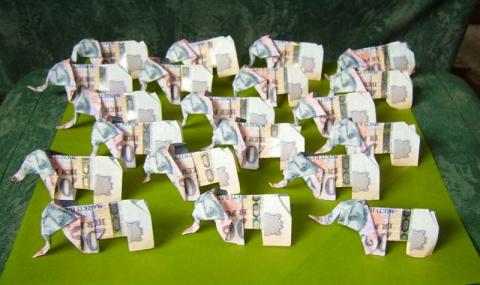 Gulyás Anikó: Elefantcsorda - pénzből