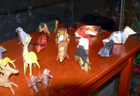 Sebők Zsolt modelljei