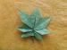 levél / leaf