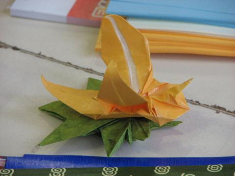 orchidea levéllel